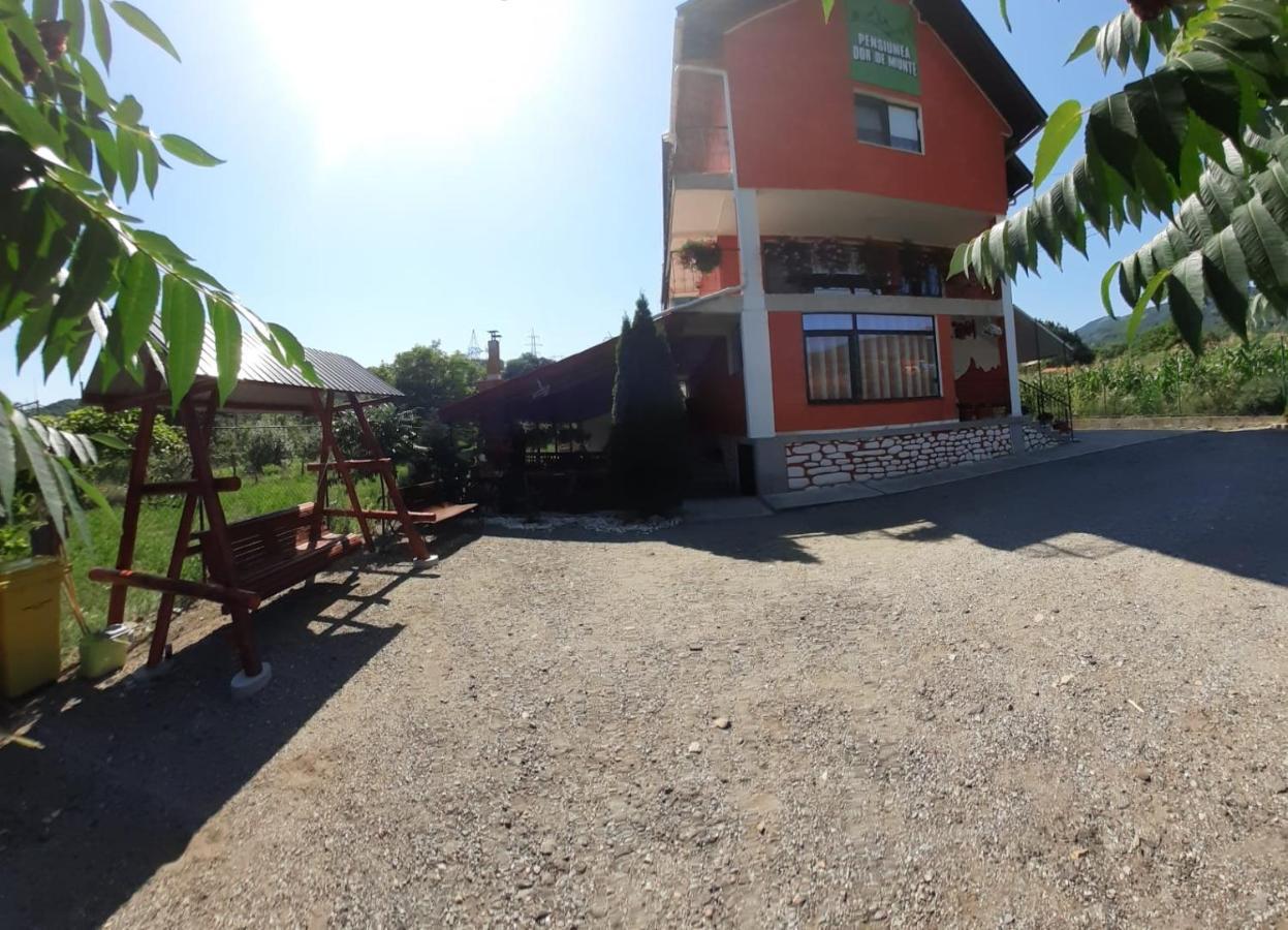 Pensiunea Dor De Munte Arefu Esterno foto